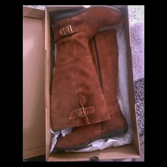 Born joly tall suede double buckle strap boots Clearance